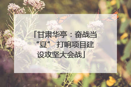 甘肃华亭：奋战当“夏” 打响项目建设攻坚大会战