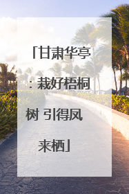 甘肃华亭：栽好梧桐树 引得凤来栖