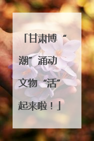 甘肃博“潮”涌动 文物“活”起来啦！