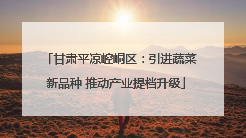 甘肃平凉崆峒区：引进蔬菜新品种 推动产业提档升级