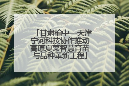 甘肃榆中—天津宁河科技协作推动高原夏菜智慧育苗与品种革新工程