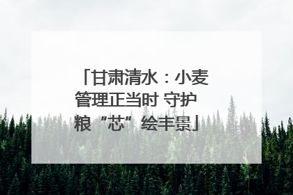 甘肃清水：小麦管理正当时 守护粮“芯”绘丰景