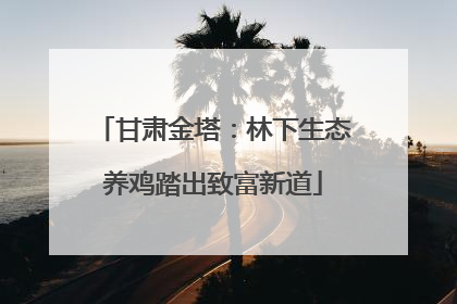 甘肃金塔：林下生态养鸡踏出致富新道