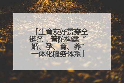 生育友好贯穿全链条，普陀构建“婚、孕、育、养”一体化服务体系