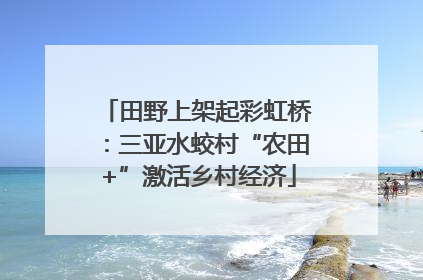 田野上架起彩虹桥：三亚水蛟村“农田+”激活乡村经济