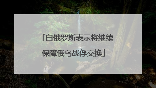 白俄罗斯表示将继续保障俄乌战俘交换