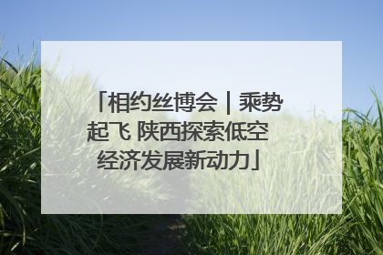 相约丝博会｜乘势起飞 陕西探索低空经济发展新动力