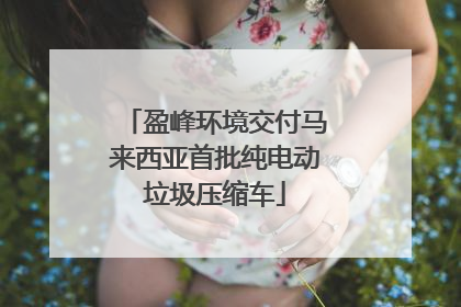 盈峰环境交付马来西亚首批纯电动垃圾压缩车