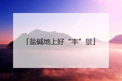 盐碱地上好“丰”景