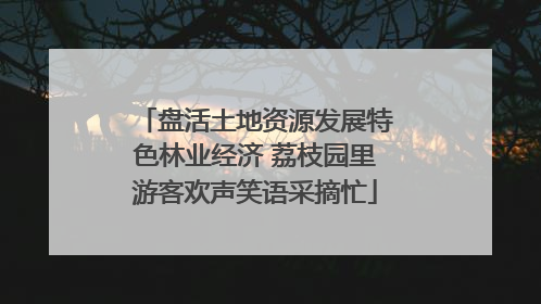 盘活土地资源发展特色林业经济 荔枝园里游客欢声笑语采摘忙