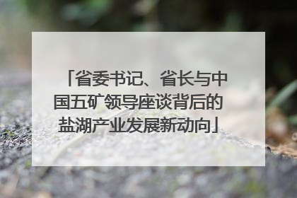 省委书记、省长与中国五矿领导座谈背后的盐湖产业发展新动向