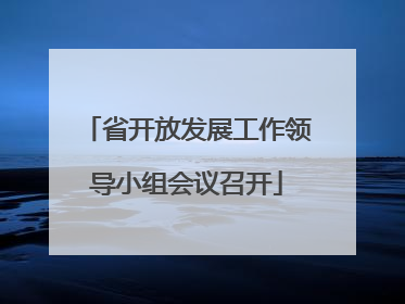 省开放发展工作领导小组会议召开