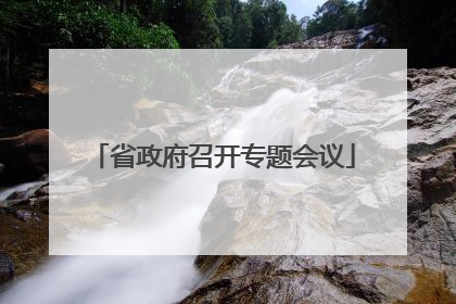 省政府召开专题会议