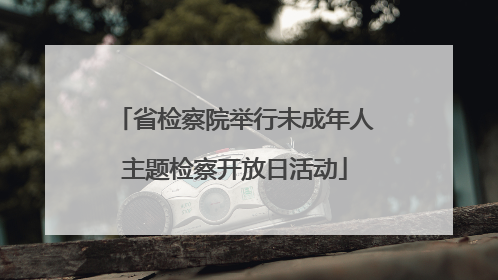 省检察院举行未成年人主题检察开放日活动