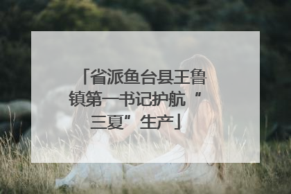 省派鱼台县王鲁镇第一书记护航“三夏”生产