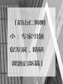 眉山仁师附小：专家引领促发展，精研课题启新篇
