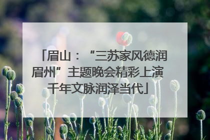 眉山：“三苏家风德润眉州”主题晚会精彩上演千年文脉润泽当代