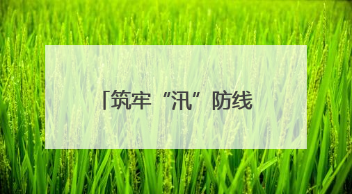 筑牢“汛”防线｜慈利县龙潭河镇：以雷霆行动迎战暴雨洪峰