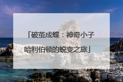 破茧成蝶：神奇小子哈利伯顿的蜕变之旅