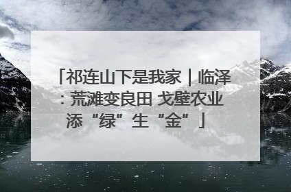 祁连山下是我家｜临泽：荒滩变良田 戈壁农业添“绿”生“金”