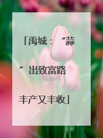 禹城：“蒜”出致富路 丰产又丰收