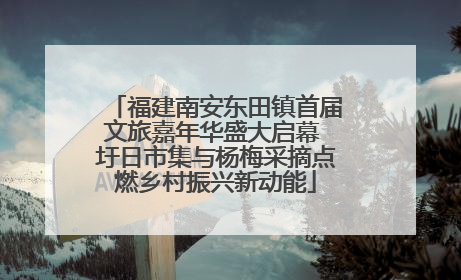 福建南安东田镇首届文旅嘉年华盛大启幕 圩日市集与杨梅采摘点燃乡村振兴新动能