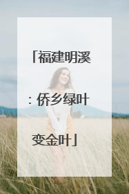 福建明溪：侨乡绿叶变金叶