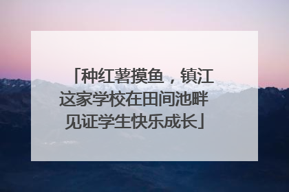 种红薯摸鱼，镇江这家学校在田间池畔见证学生快乐成长