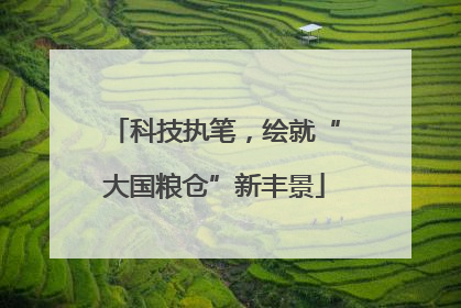 科技执笔，绘就“大国粮仓”新丰景