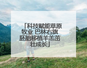 科技赋能草原牧业 巴林右旗胚胎移植羊羔茁壮成长