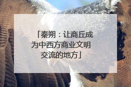 秦朔：让商丘成为中西方商业文明交流的地方