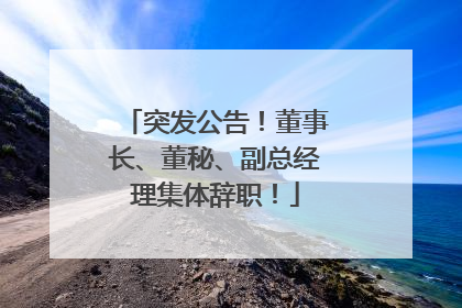 突发公告！董事长、董秘、副总经理集体辞职！