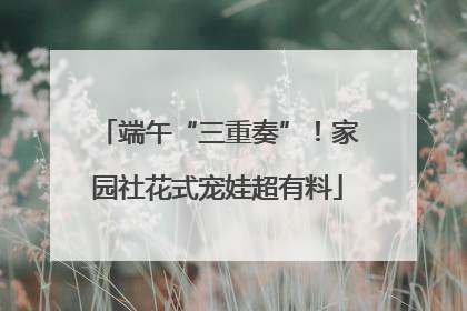 端午“三重奏”！家园社花式宠娃超有料