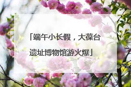 端午小长假，大葆台遗址博物馆游火爆