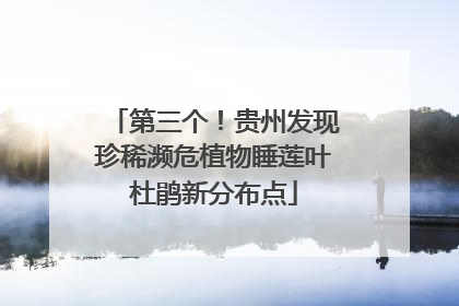 第三个！贵州发现珍稀濒危植物睡莲叶杜鹃新分布点