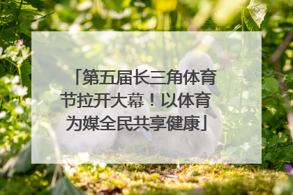 第五届长三角体育节拉开大幕！以体育为媒全民共享健康