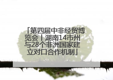 第四届中非经贸博览会丨湖南14市州与28个非洲国家建立对口合作机制