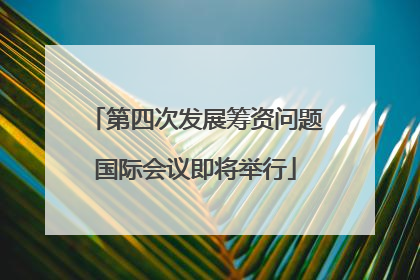 第四次发展筹资问题国际会议即将举行