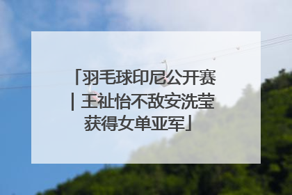 羽毛球印尼公开赛｜王祉怡不敌安洗莹 获得女单亚军
