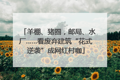 羊棚、猪圈，邮局、水厂……看废弃建筑“花式逆袭”成网红村咖