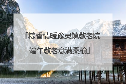粽香情暖豫灵镇敬老院 端午敬老意满桑榆