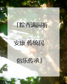 粽香满园祈安康 传统民俗乐传承