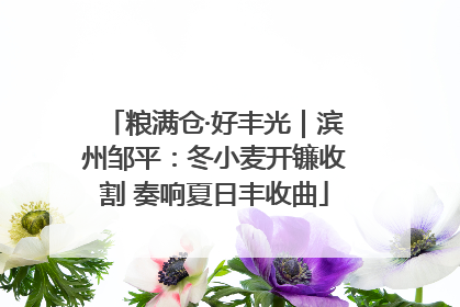 粮满仓·好丰光｜滨州邹平：冬小麦开镰收割 奏响夏日丰收曲