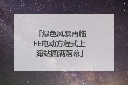 绿色风暴再临 FE电动方程式上海站圆满落幕