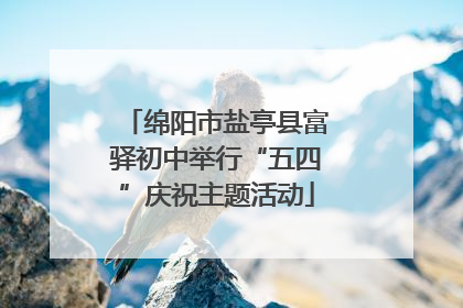 绵阳市盐亭县富驿初中举行“五四”庆祝主题活动