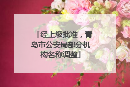 经上级批准，青岛市公安局部分机构名称调整