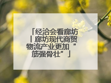 经洽会看廊坊丨廊坊现代商贸物流产业更加“筋强骨壮”