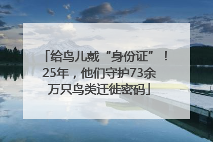 给鸟儿戴“身份证”！25年，他们守护73余万只鸟类迁徙密码