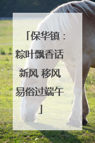 保华镇：粽叶飘香话新风 移风易俗过端午