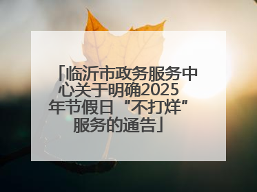 临沂市政务服务中心关于明确2025年节假日“不打烊”服务的通告
